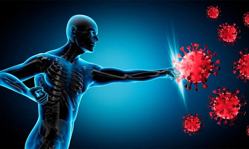 Boosts-Immune-System