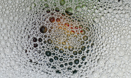 What-Triggers-Trypophobia