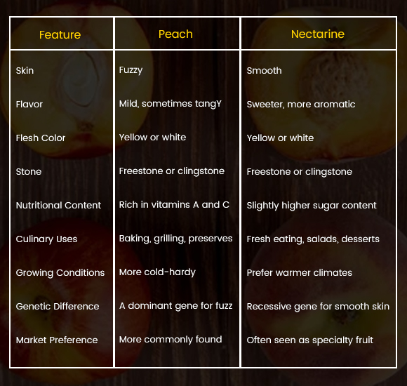 Difference Between Peach and Nectarine