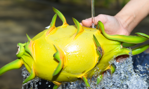 Wash the Fruit