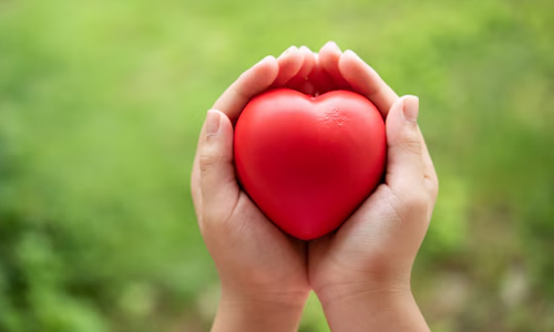 Improves-Cardiovascular-Health