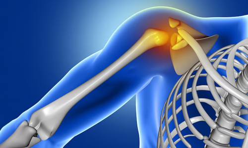 Promotes-Joint-Health