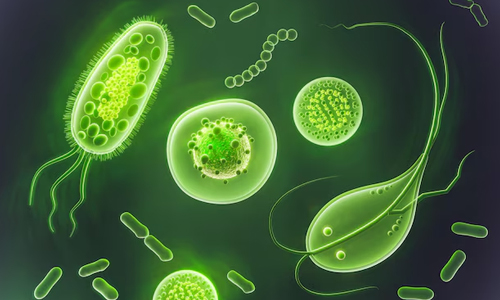 Antimicrobial-Properties