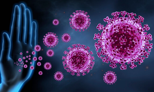 Boosts-Immune-System