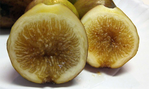 Alma Figs