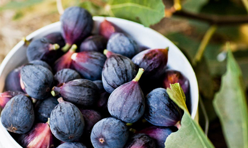 Black Mission Figs