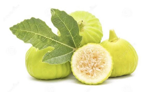 Excel Figs