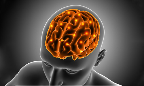 yarrow plant benefits for brain health