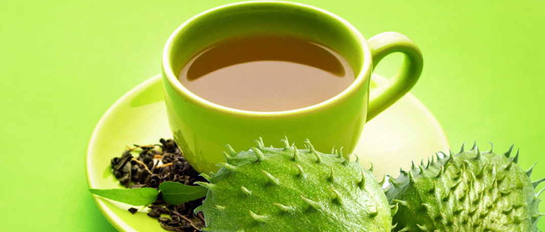 Soursop Tea: History, Benefits, Recipes, where to buy