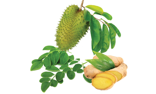 Soursop and Ginger Tea