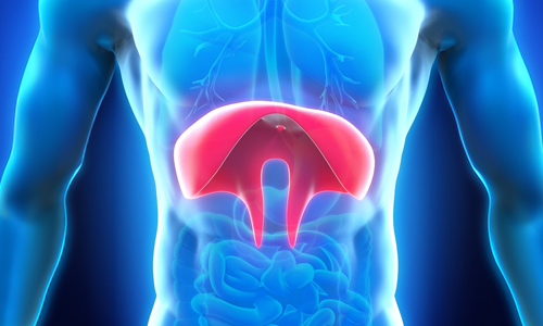 Causes-of-Hiatal-Hernia
