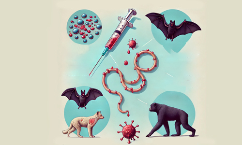 How-is-Ebola-Transmitted
