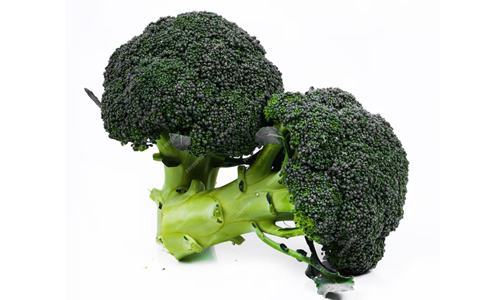 Broccoli