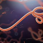 Ebola Virus Disease: Types, Symptoms, Treatments, Prevention