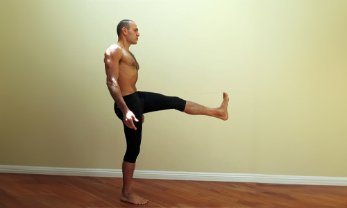 Standing Leg Lifts