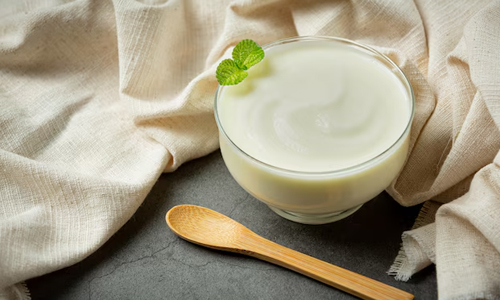 Yogurt