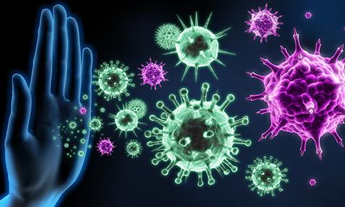 Immune-System-and-Its-Importance