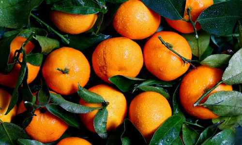 Tangerine Vs Orange