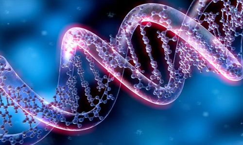 Genetics