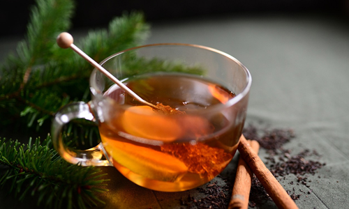 Apple-and-Cinnamon-Detox-Water