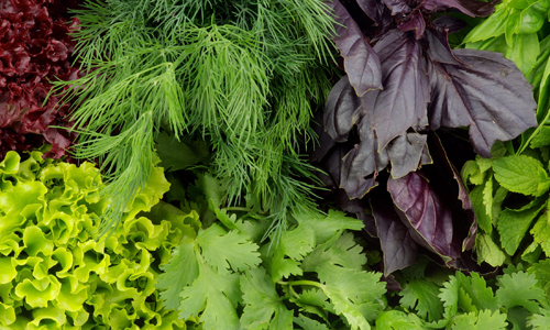 Leafy-Greens