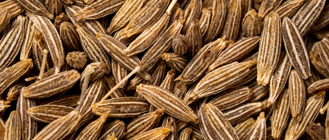 Cumin Seeds: Benefits, Side Effects & Nutritional Facts
