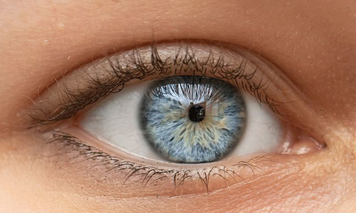 Pinpoint Pupils