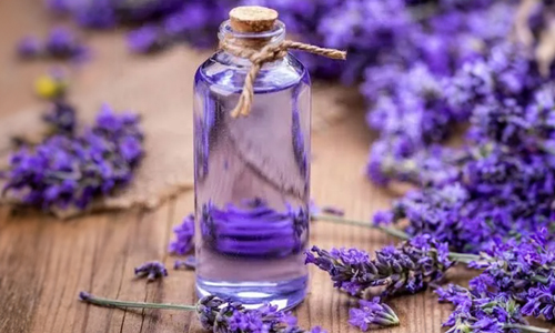 Lavender-oil