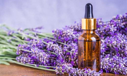 Lavender-oil-for-blotchy-skin