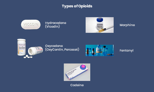  Types of Opioids