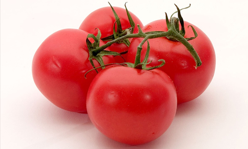 Tomatoes
