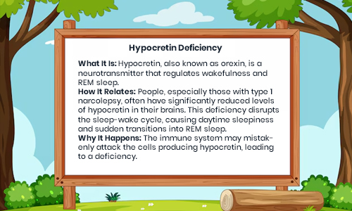 Hypocretin Deficiency