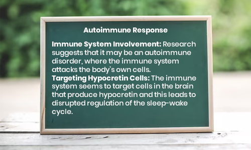 Autoimmune Response