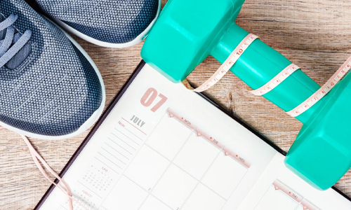 Weightloss plan