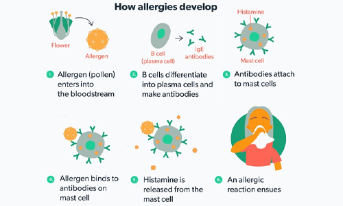 Can You Get Allergies in the Fall