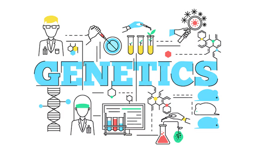 Genetics