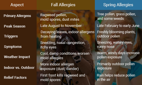 Difference Between Fall and Spring Allergies