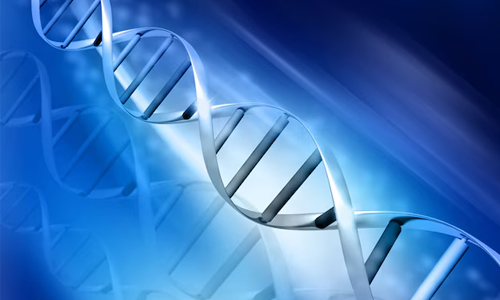 Genetics