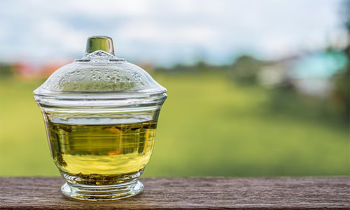 Green-tea-extract