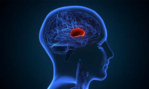 Brain Tumors