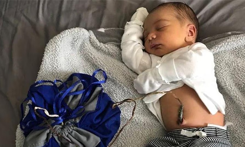 About Lotus Brith