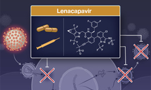 How does Lenacapavir injection work