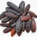 Why is the Tonka Bean Banned?