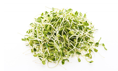  Sulforaphane from Broccoli Sprouts