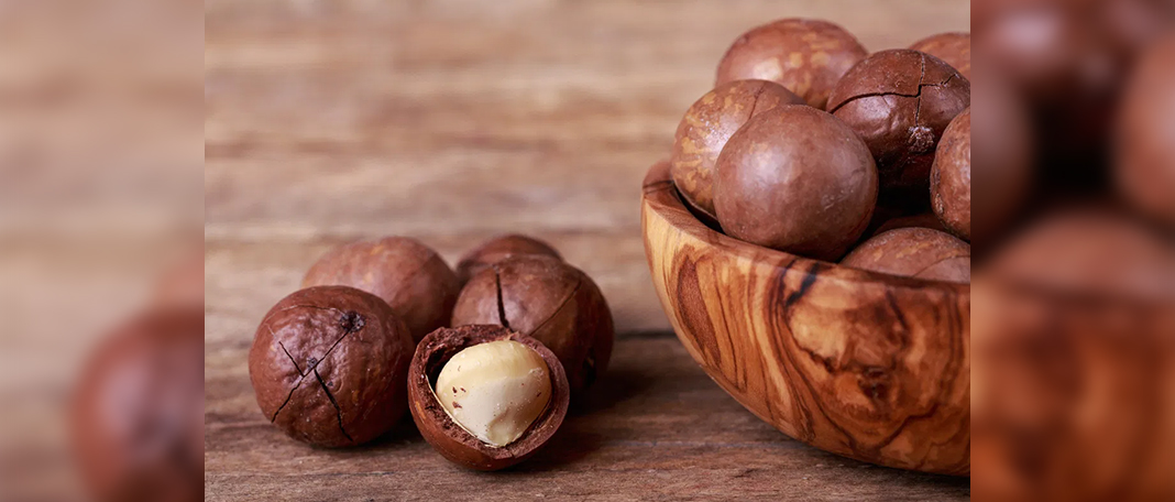 Health Benefit of Macadamia Nuts