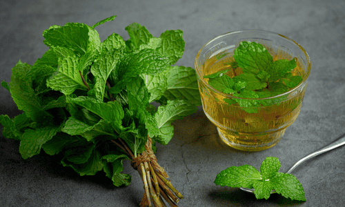 Taking peppermint is good remedy for food poisoning