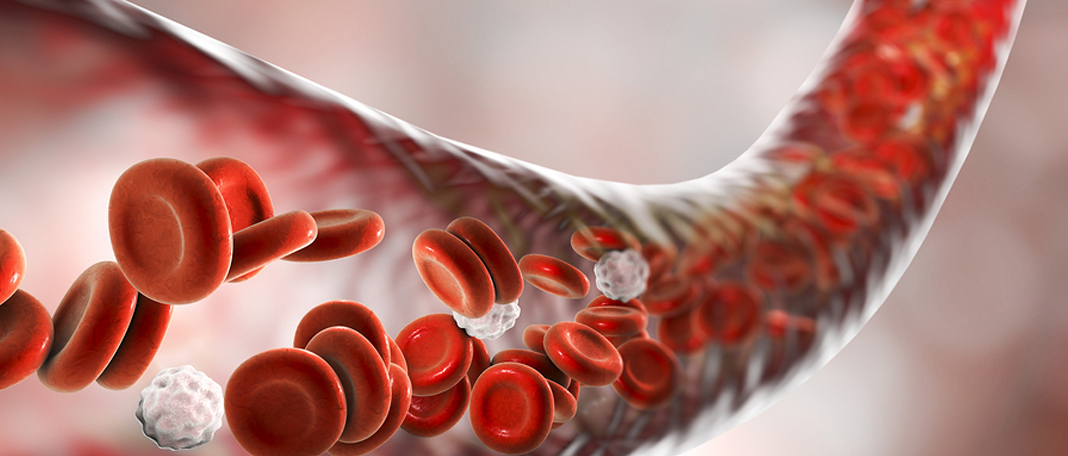 How Albumin Supercharges Sperm for Successful Fertilization