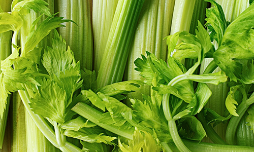 Celery