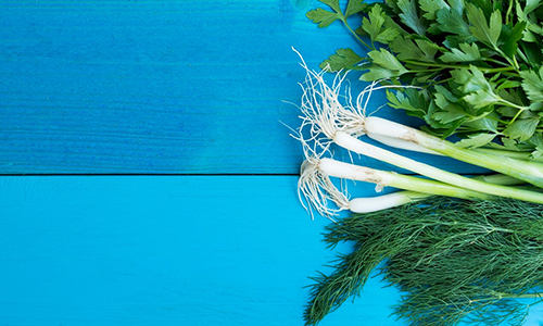 Fennel Stalks