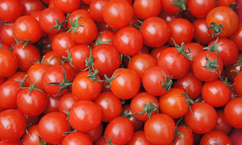 Tomato